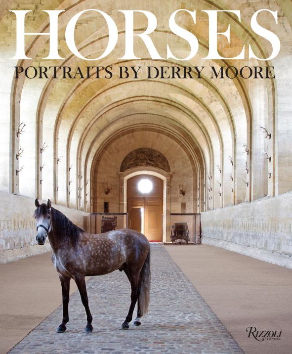 Horses : Portraits by Derry Moore