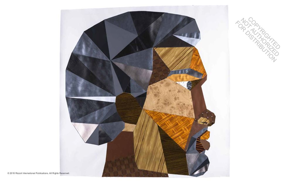Black Refractions : Highlights from the Studio Museum in Harlem