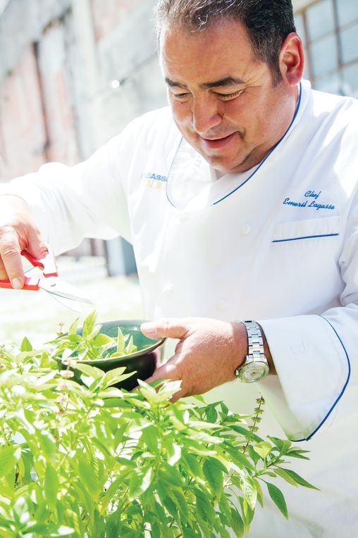 Essential Emeril: Favorite Recipes and Hard-Won Wisdom From My Life in the Kitchen