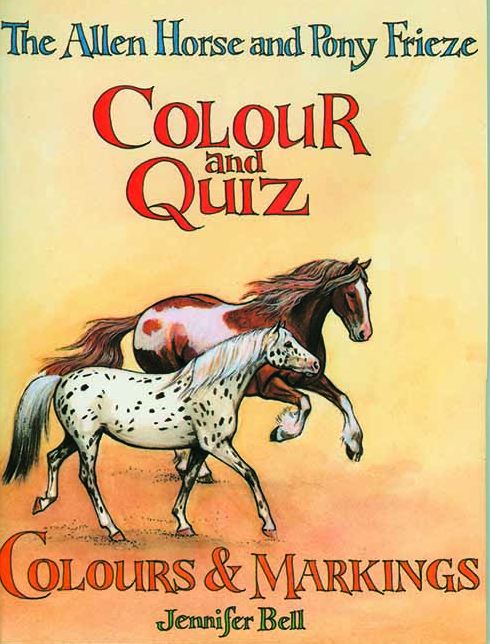 The Allen Horse and Pony Frieze, Colour and Quiz: Colours & Markings
