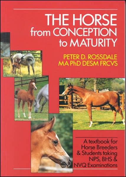 Horse from Concept to Maturity