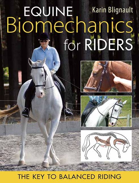 Equine Biomechanics for Riding: The Key to Balanced Riding