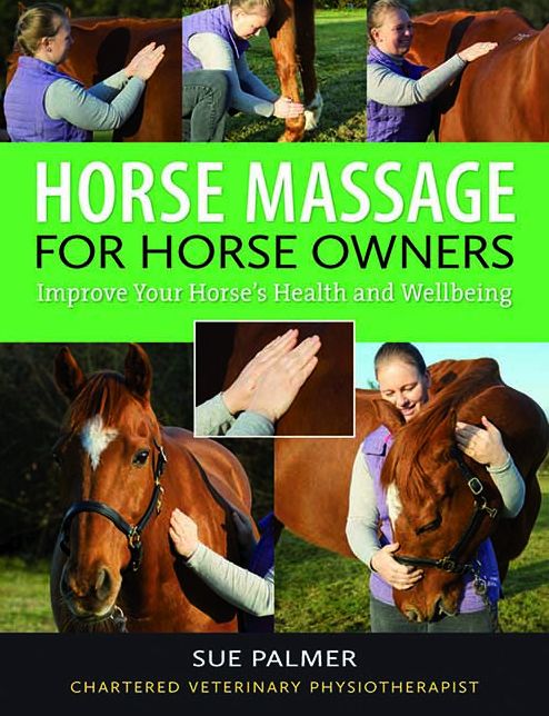 Horse Massage for Horse Owners: Improve Your Horse's Health and Wellbeing