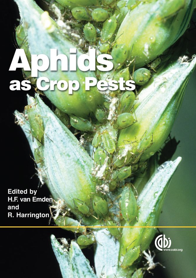 Aphids as Crop Pests