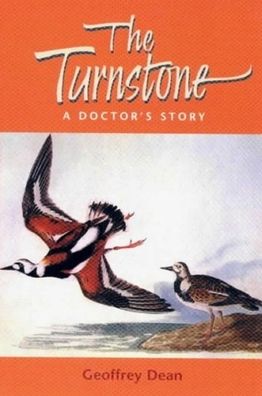 Turnstone