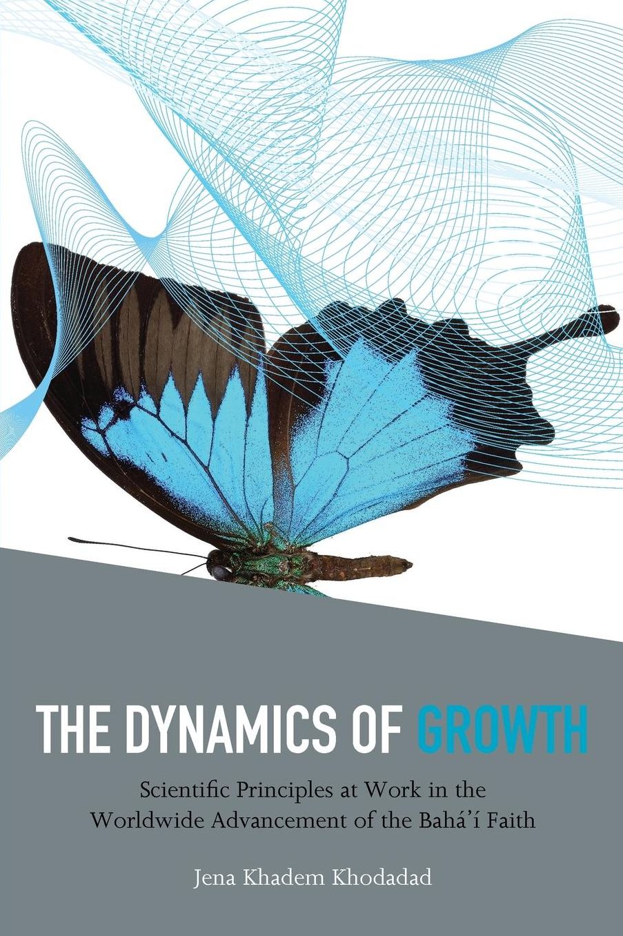The Dynamics of Growth: Scientific Principles at Work in the Worldwide Advancement of the Baha'i Faith
