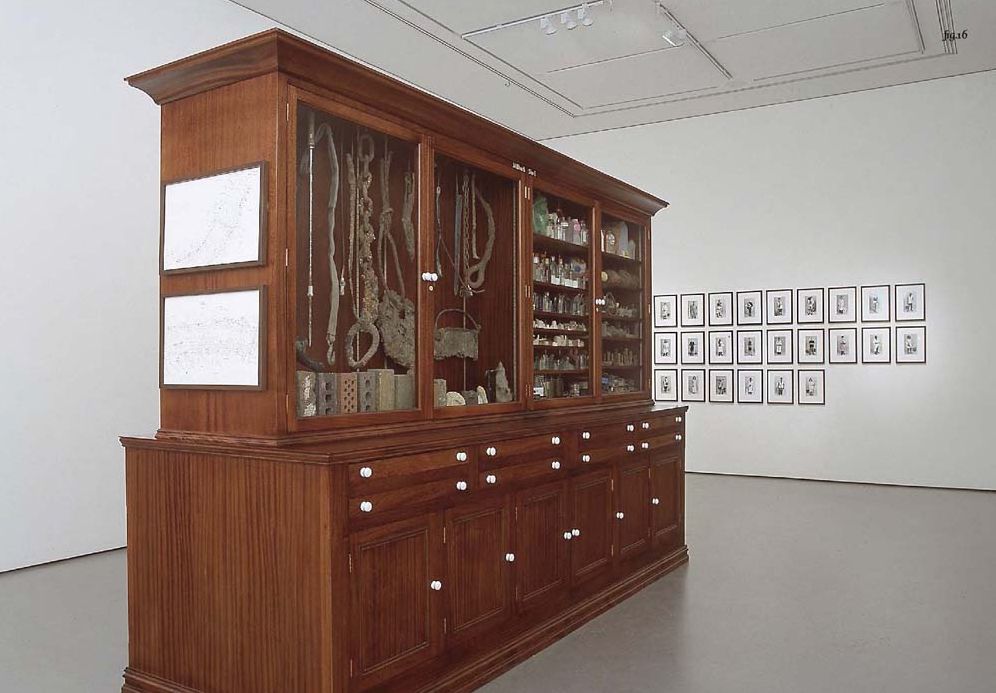Mark Dion: Theatre of the Natural World