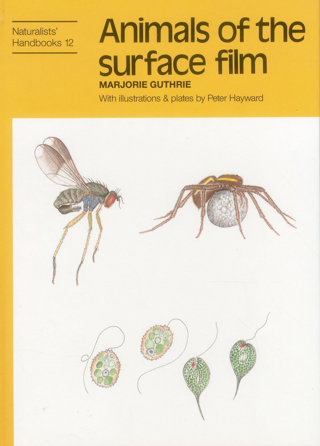Animals of the Surface Film
