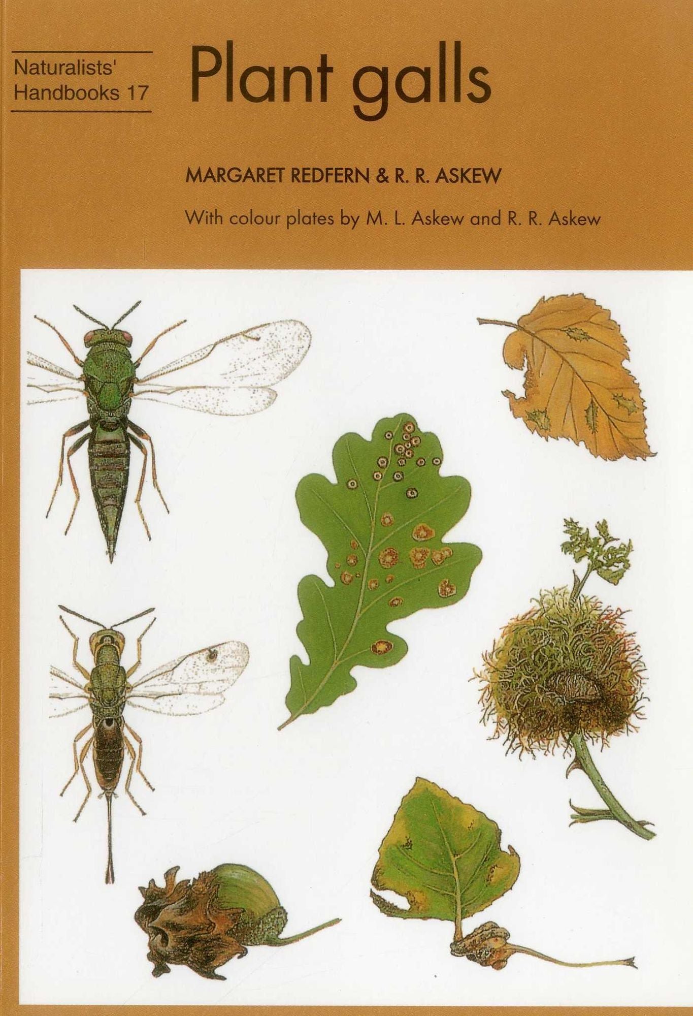 Plant Galls
