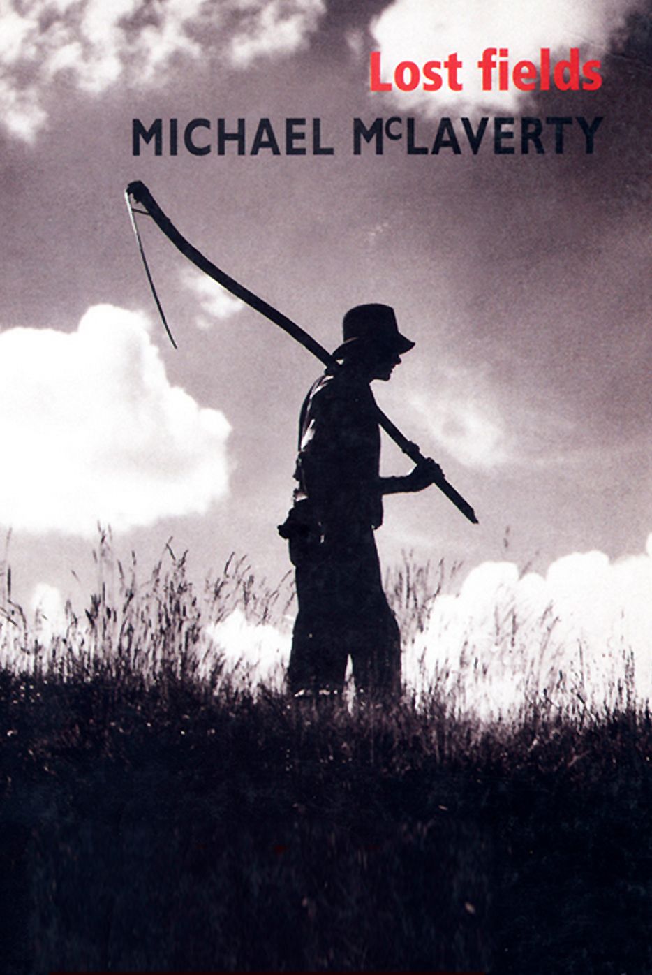 Lost Fields: A classic Irish novel set during the Great Depression