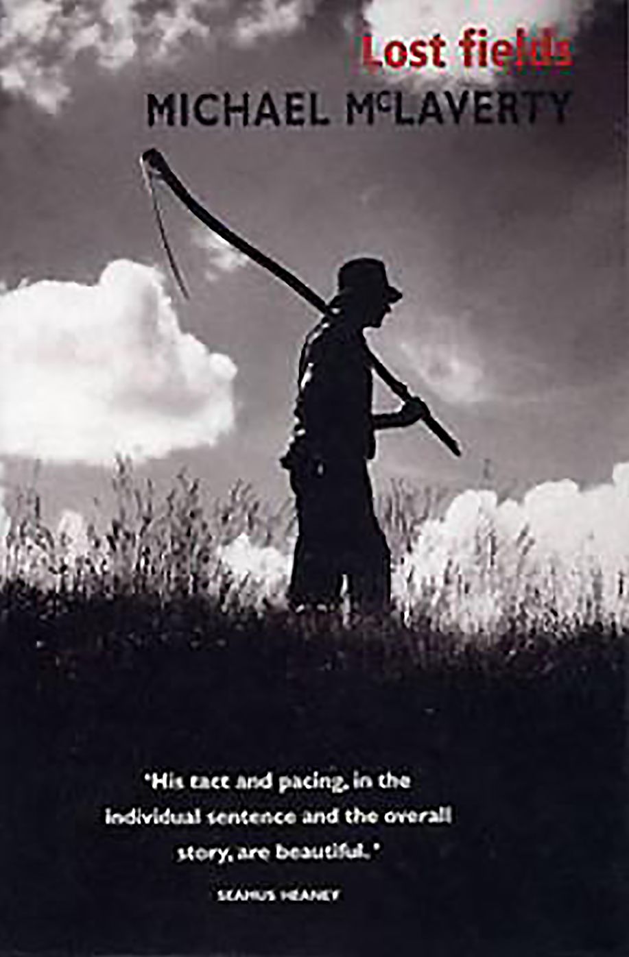 Lost Fields: A classic Irish novel set during the Great Depression