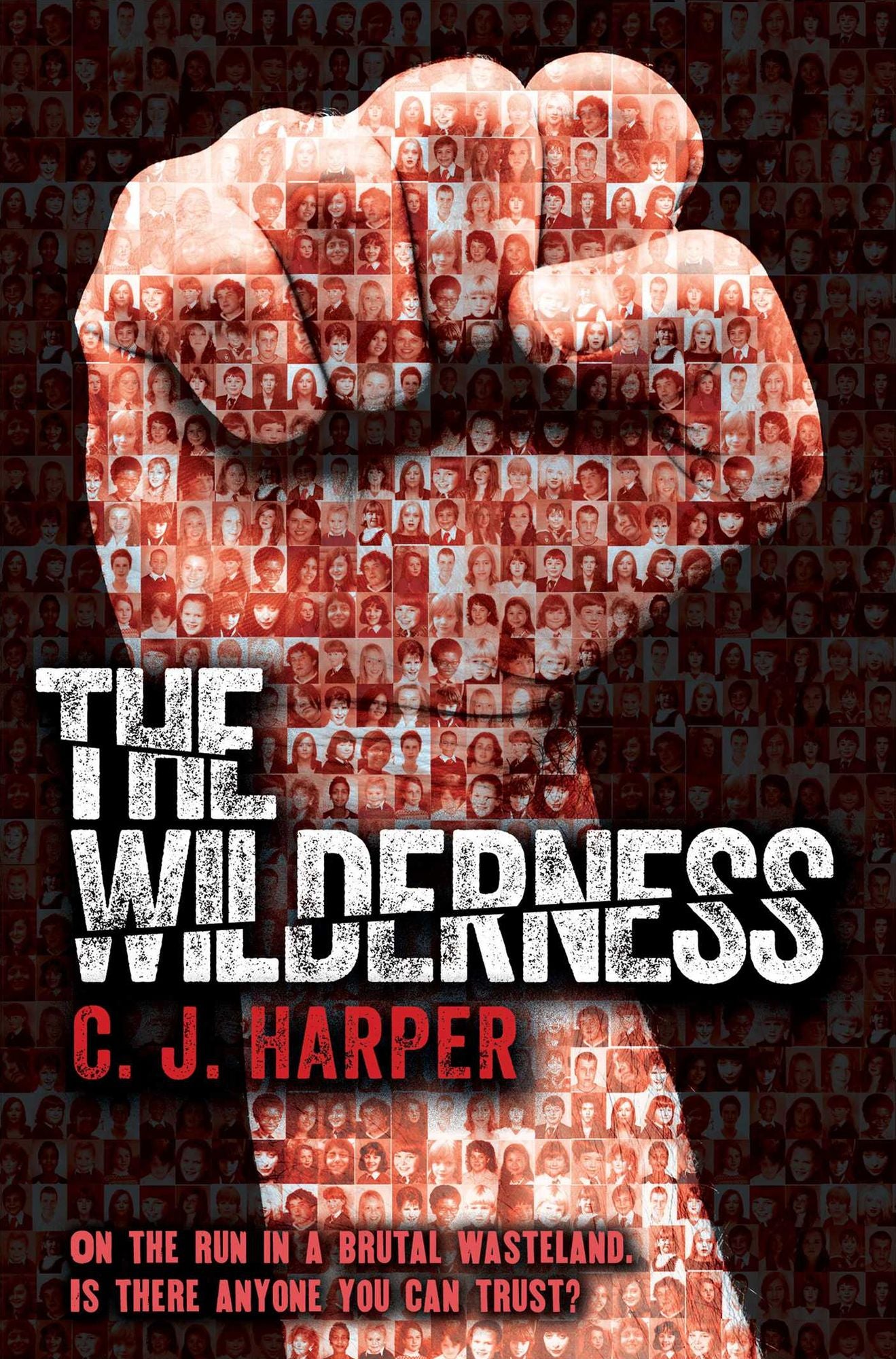 The Wilderness