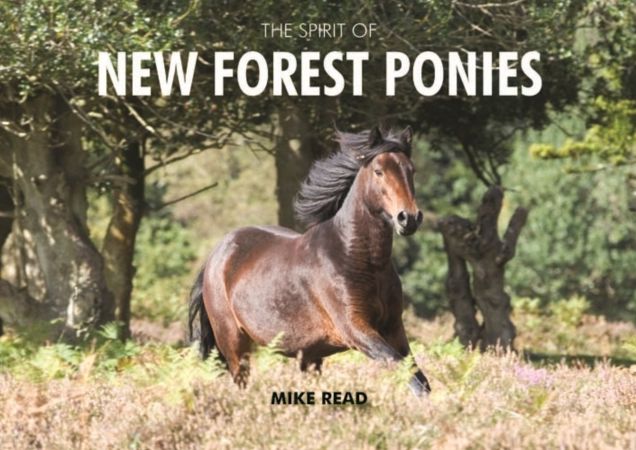 The Spirit of New Forest Ponies