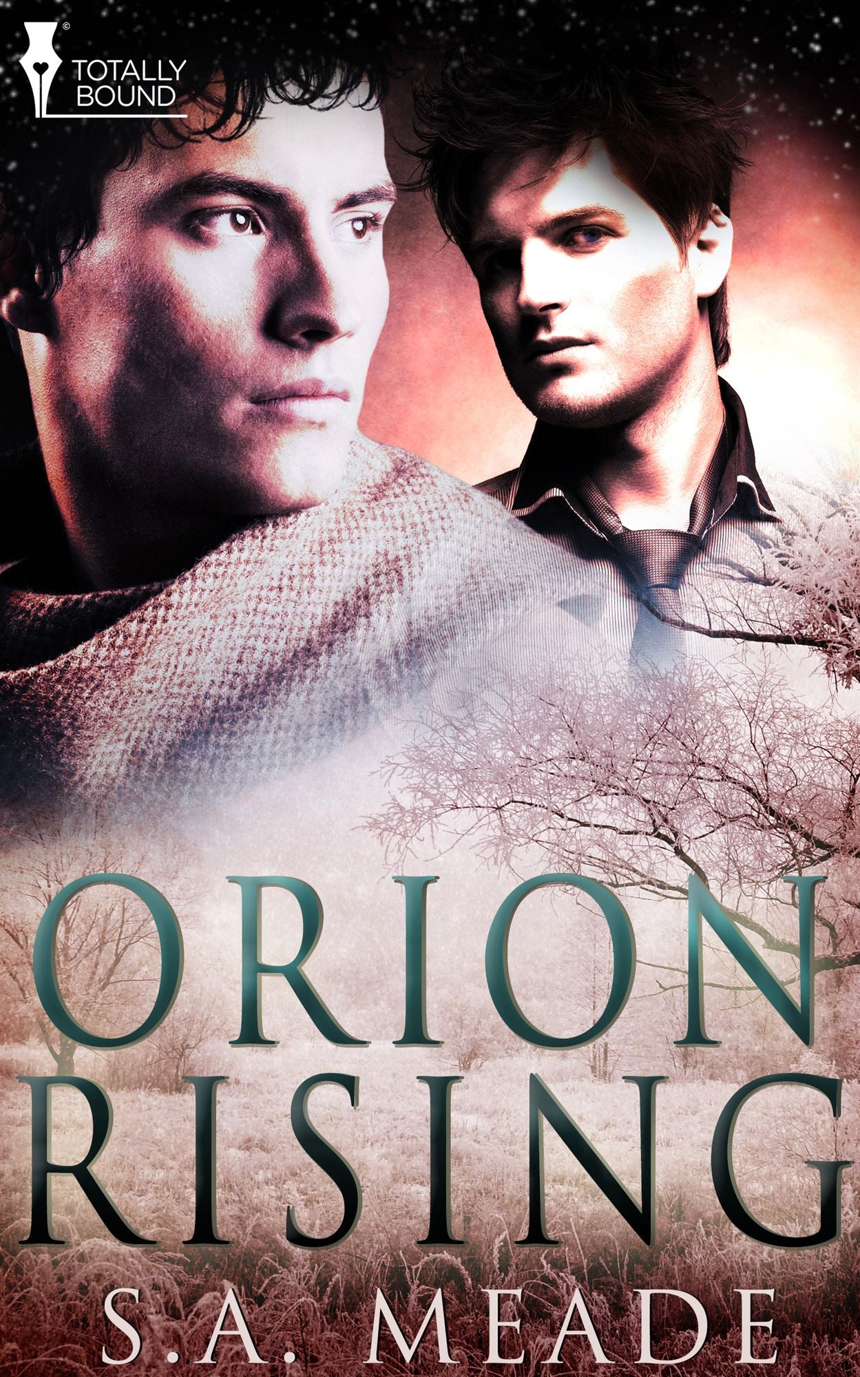 Orion Rising