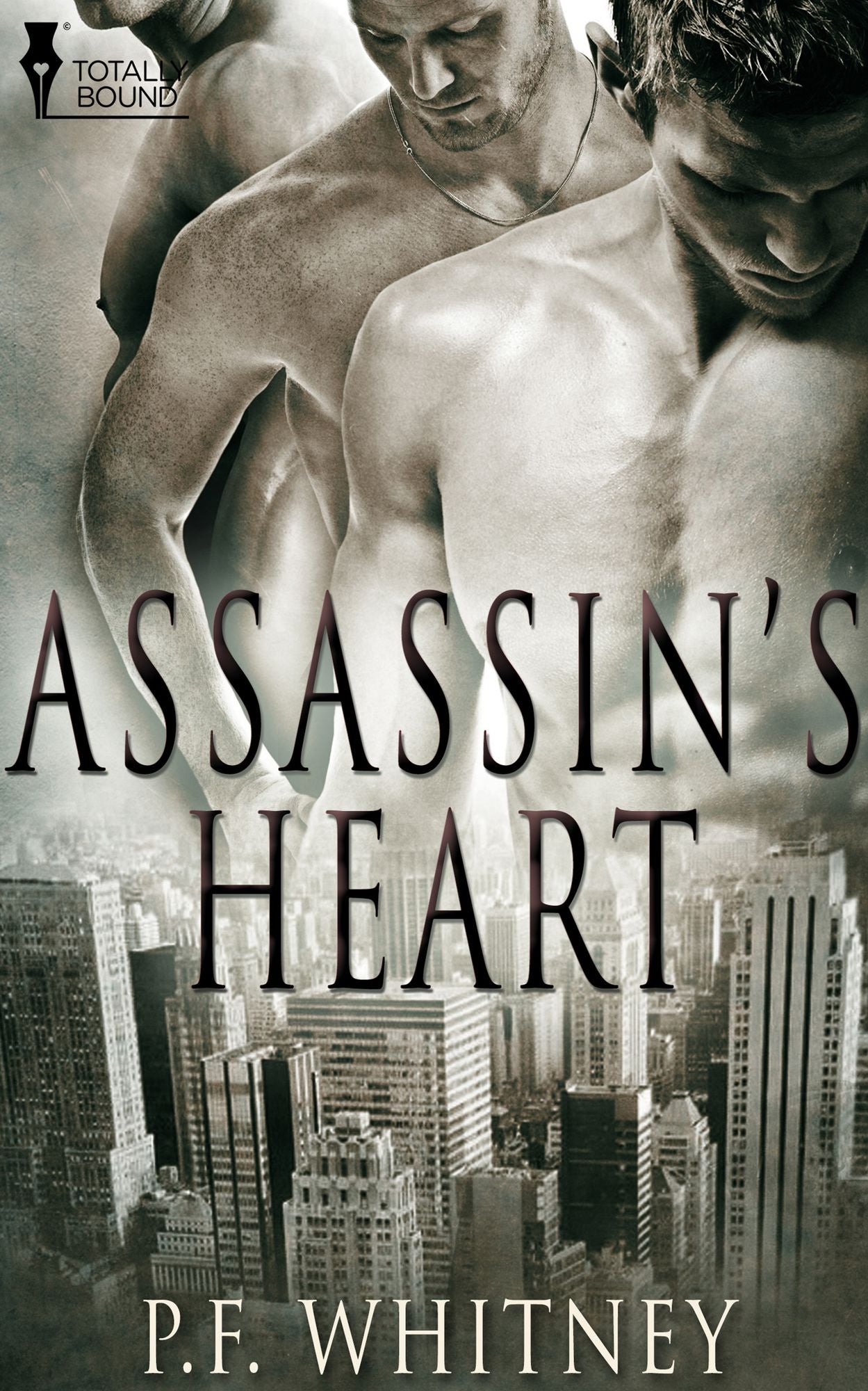 Assassin's Heart