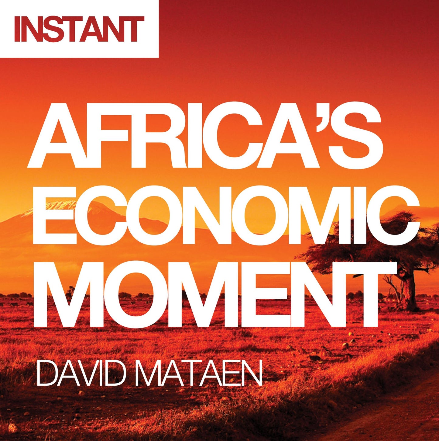 Africa's Economic Moment: Why This Time Is Different