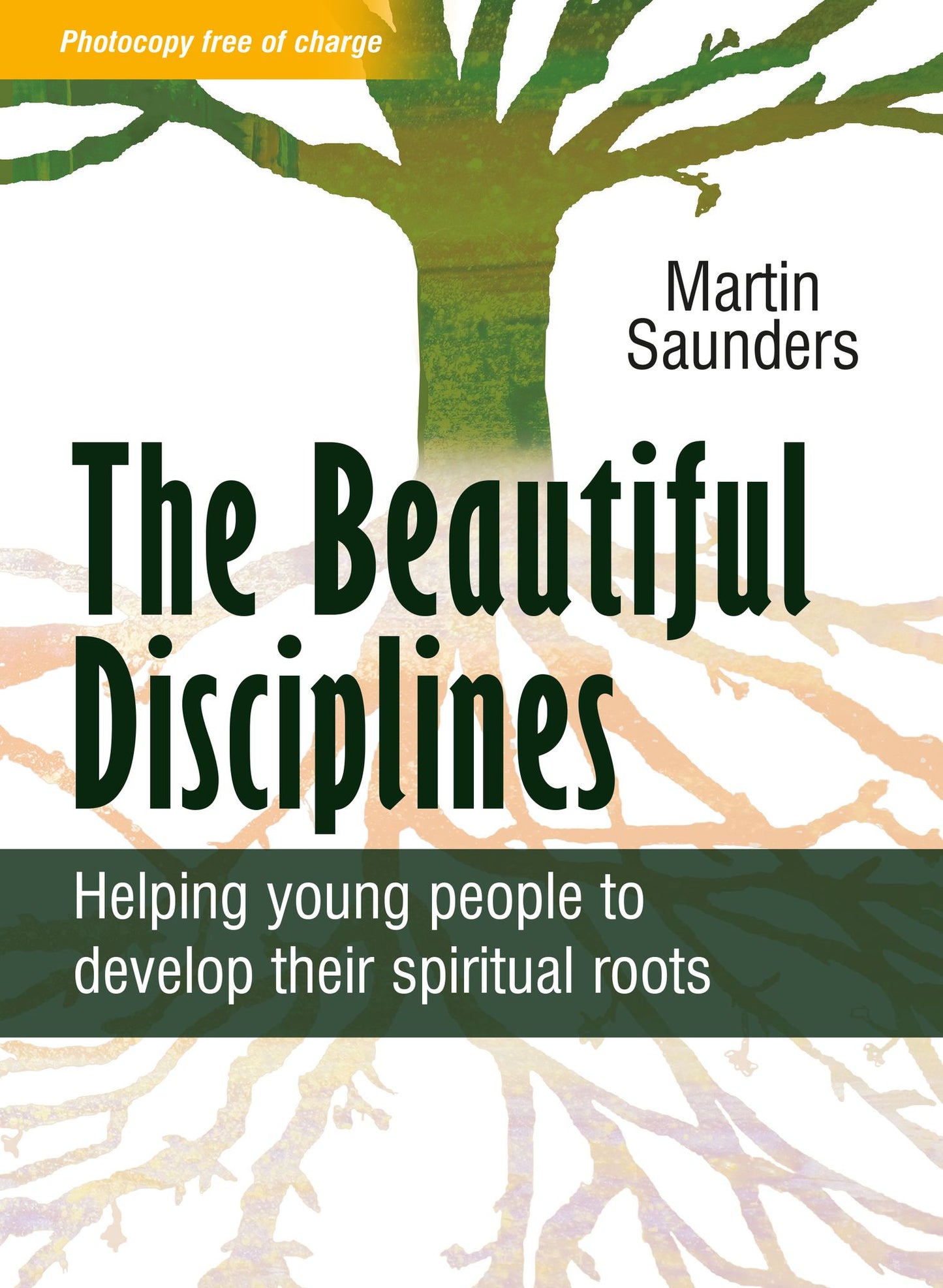 The Beautiful Disciplines: Helping young people to develop their spiritual roots