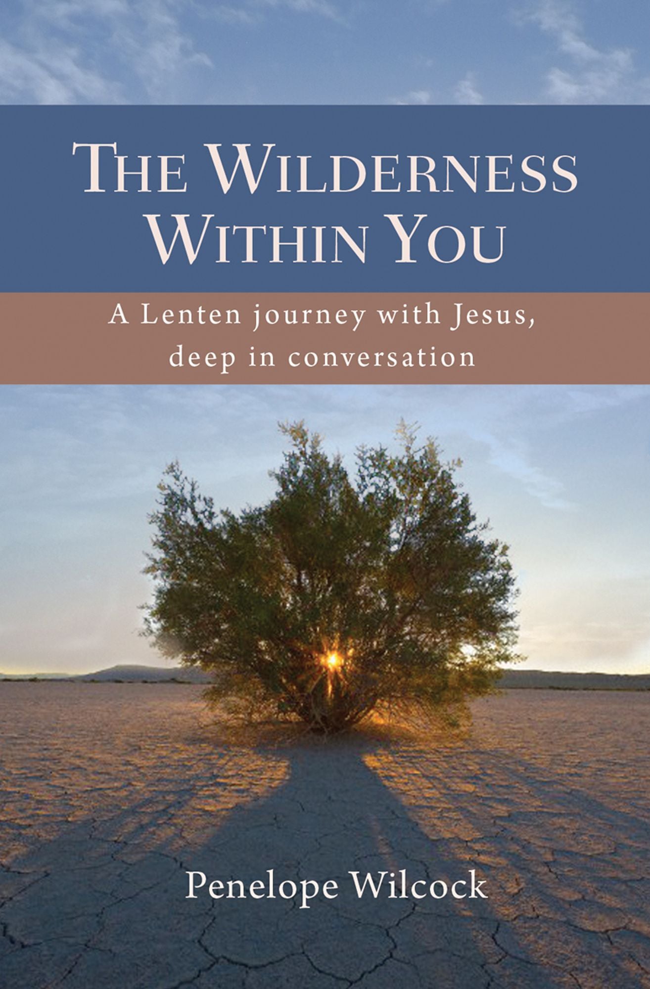 The Wilderness Within You: A Lenten journey with Jesus, deep in conversation
