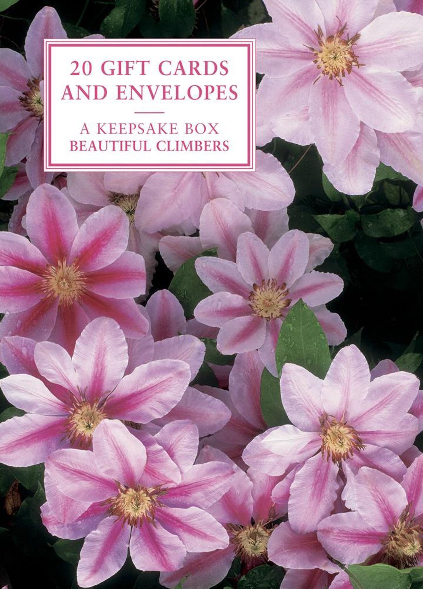Tin Box of 20 Gift Cards and Envelopes: Beautiful Climbers: A Fabulous Collection of Floral Notecards and Envelopes Contained Within a Pretty Keepsake