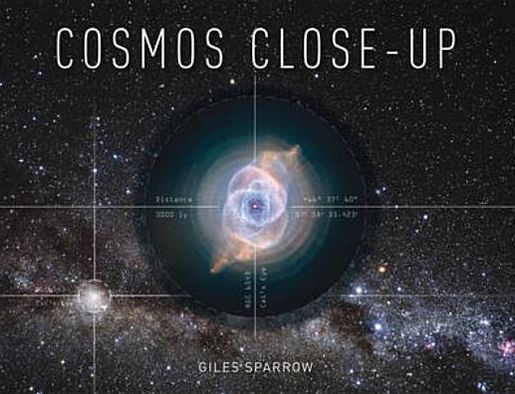 Cosmos Close-Up