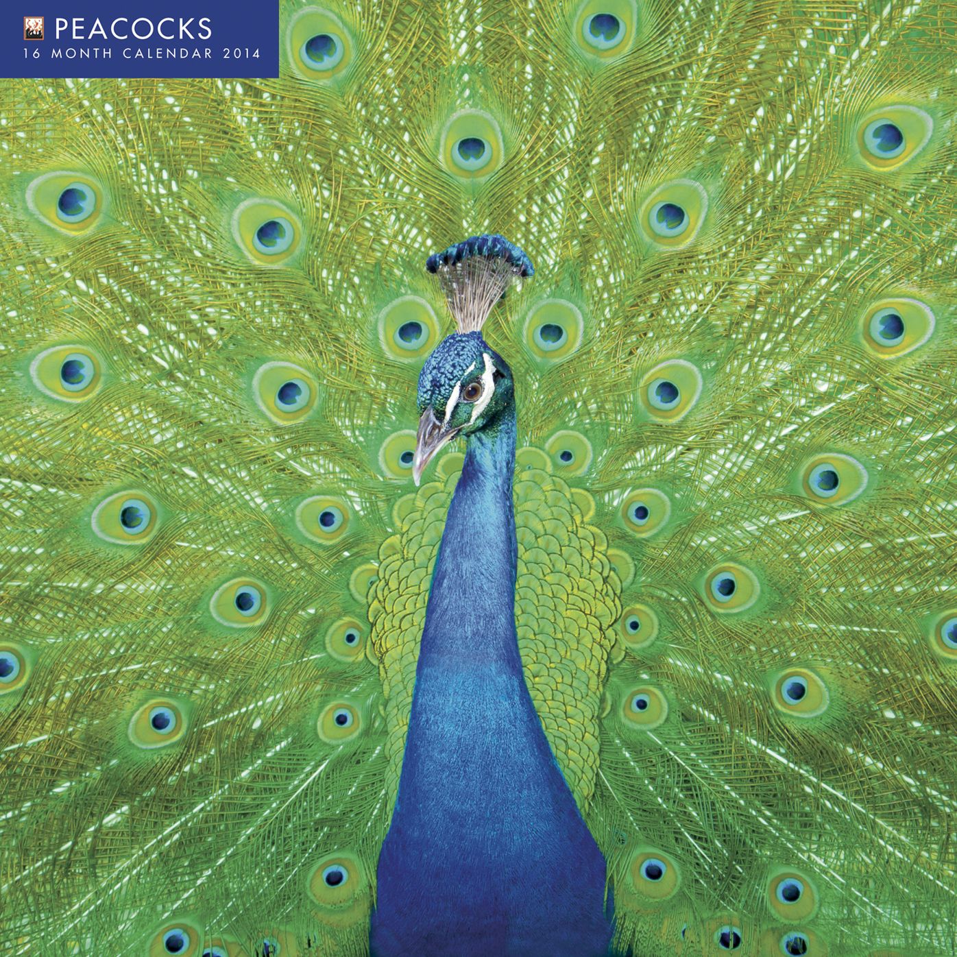 Peacocks Calendar