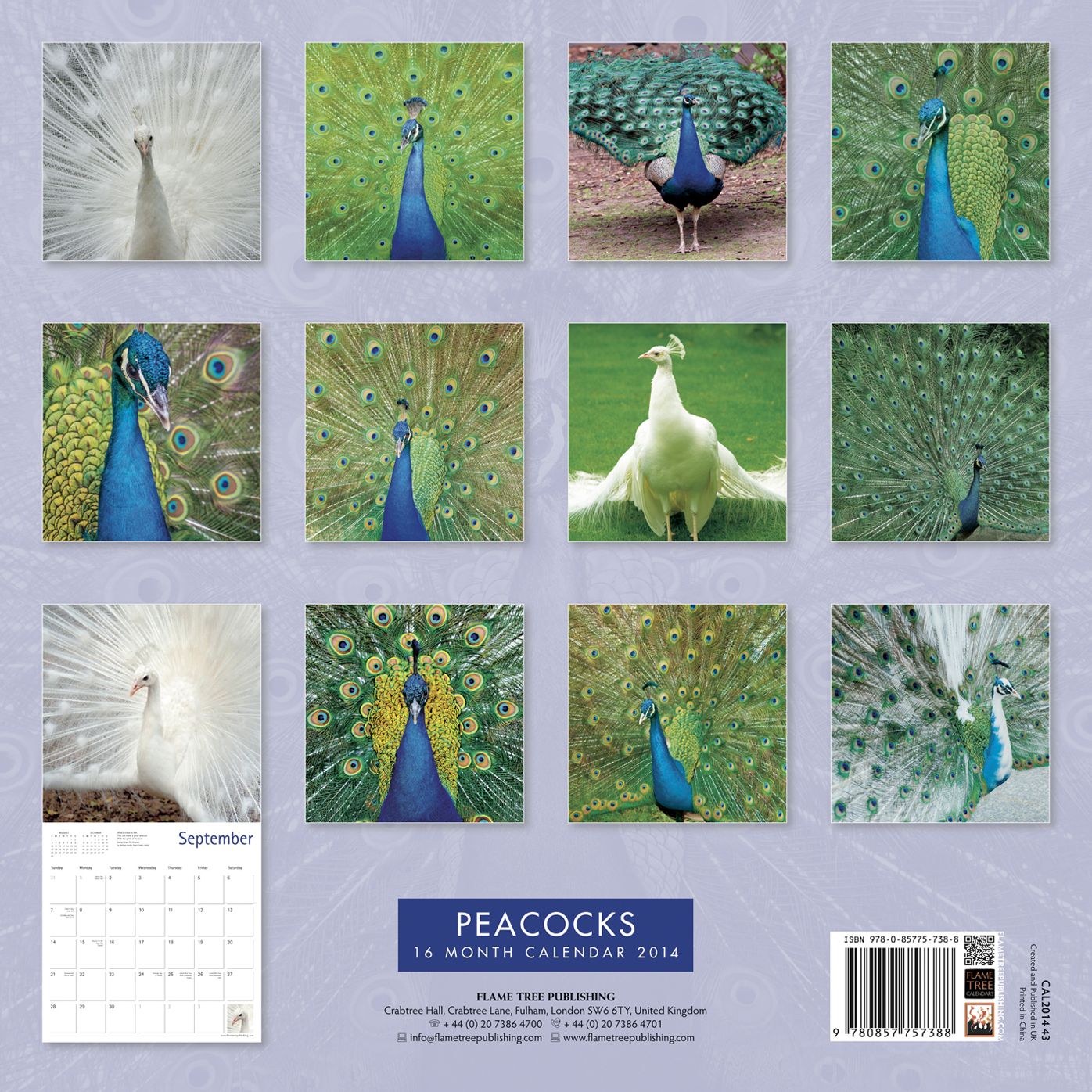 Peacocks Calendar