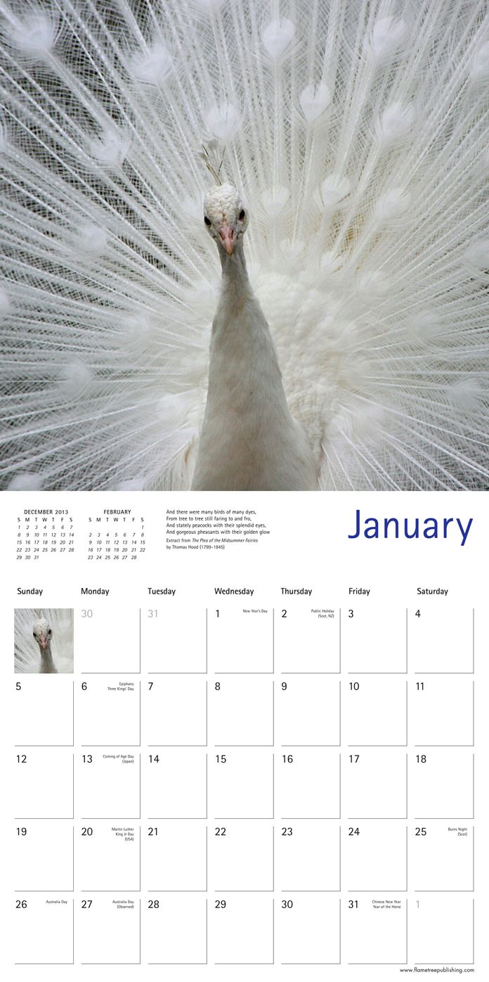 Peacocks Calendar