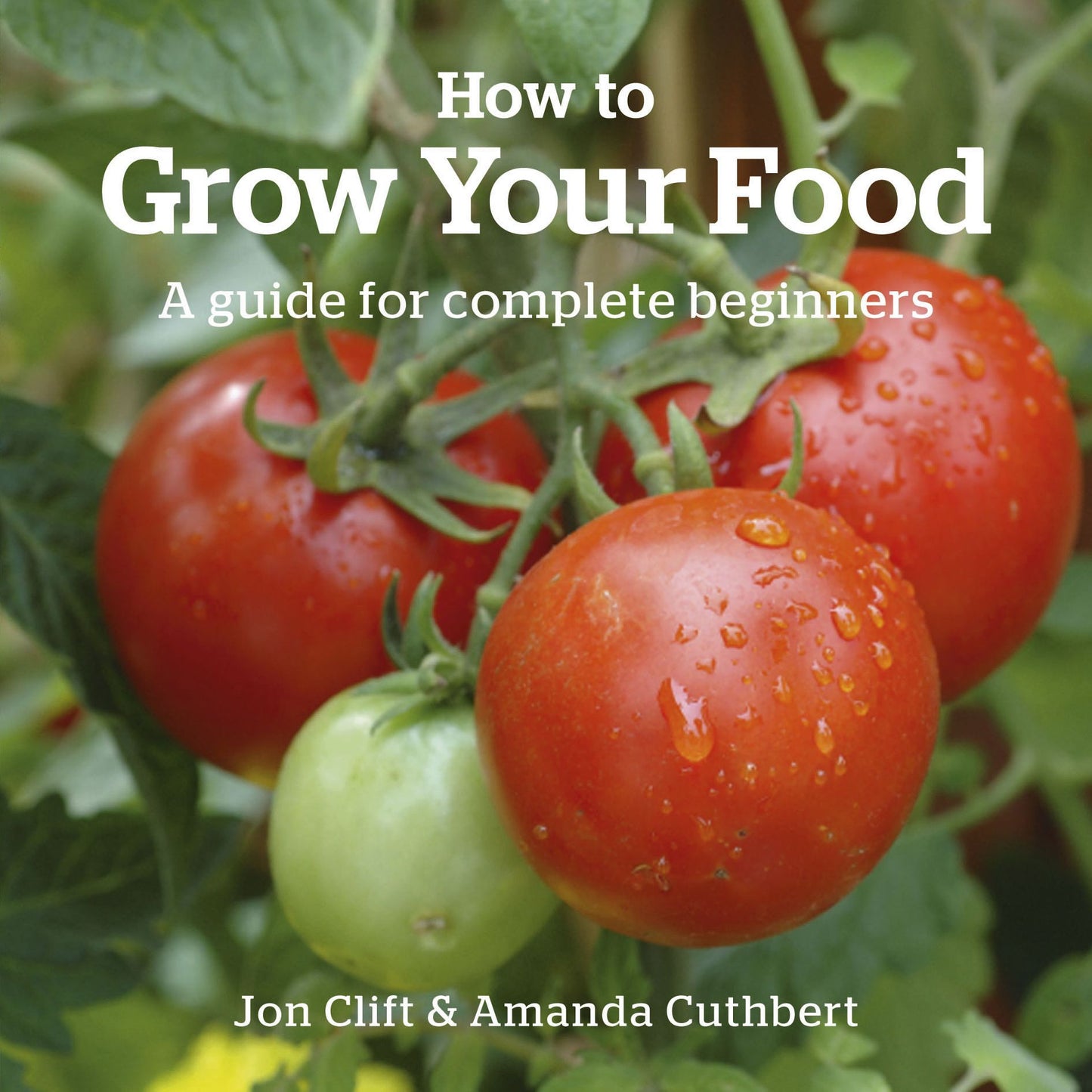 How to Grow Your Food: A Guide for Complete Beginners