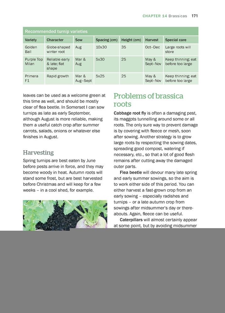 Organic Gardening, 2nd Edition: The Natural No-Dig Way