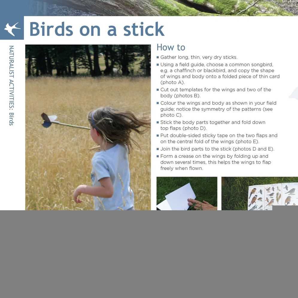 Learning with Nature: A how-to guide to inspiring children through outdoor games and activities