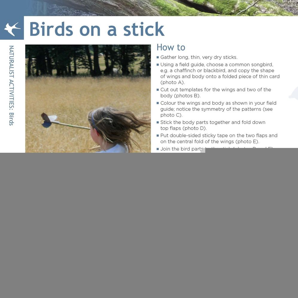 Learning with Nature: A how-to guide to inspiring children through outdoor games and activities
