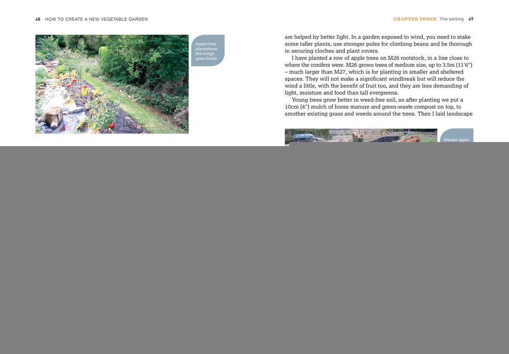 How to Create a New Vegetable Garden: Producing a Beautiful and Fruitful Garden from Scratch