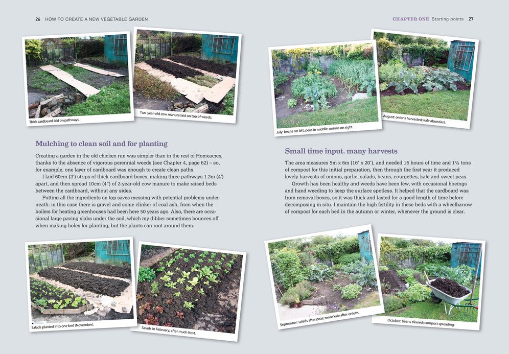 How to Create a New Vegetable Garden: Producing a Beautiful and Fruitful Garden from Scratch