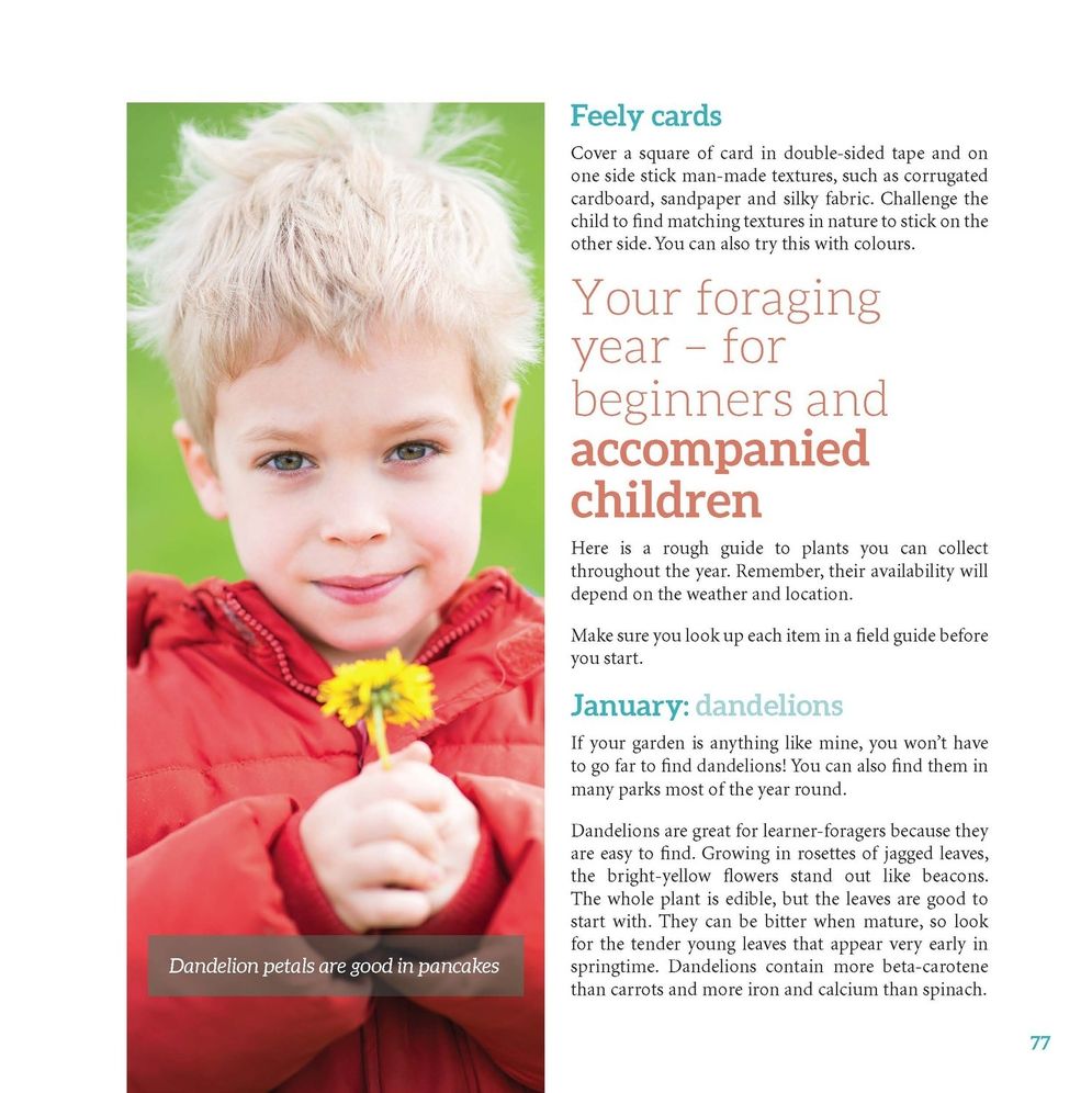 The No Nonsense Guide to Green Parenting: How to Raise Your Child, Help Save the Planet and Not Go Mad