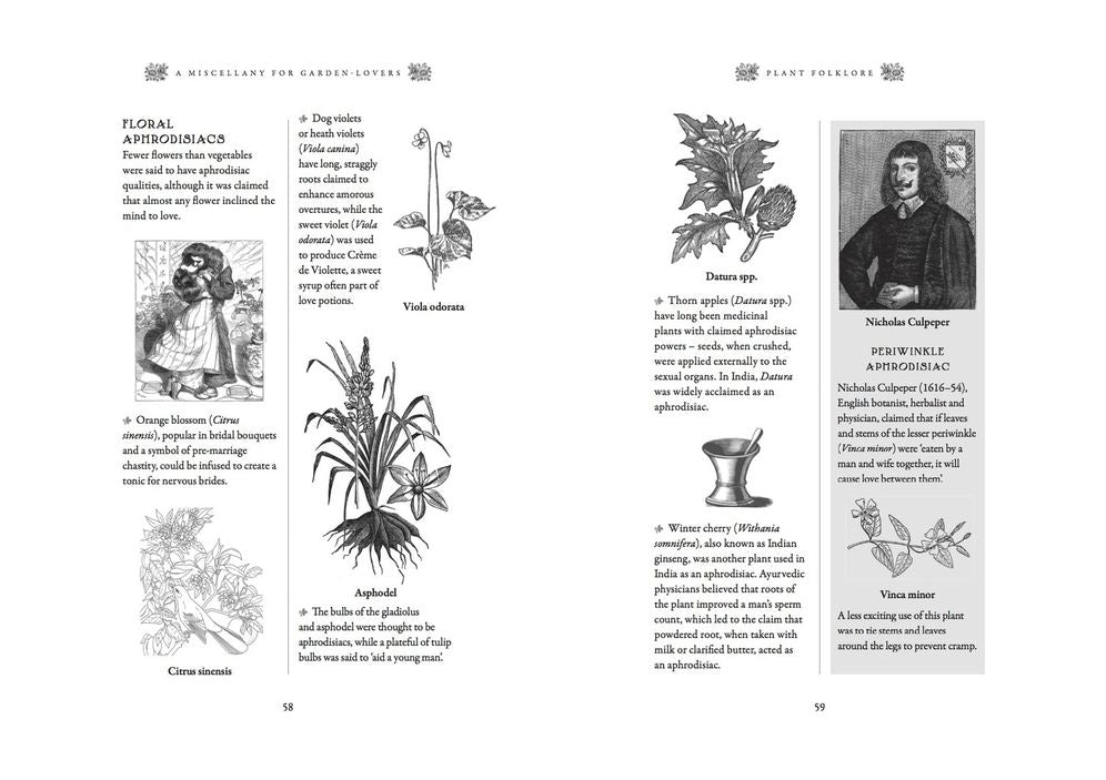 A Miscellany for Garden-Lovers: Facts and Folklore Through the Ages