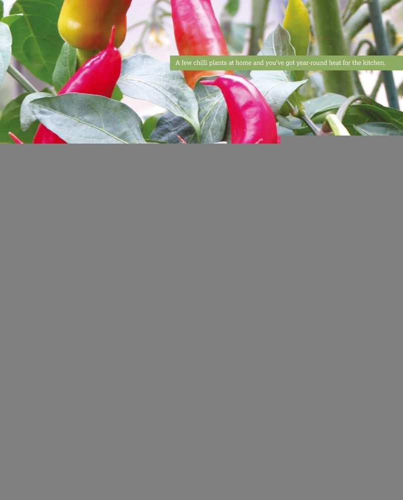 Growing Self-Sufficiency: Realize Your Dream and Enjoy Producing Your Own Fruit, Vegetables, Eggs and Meat