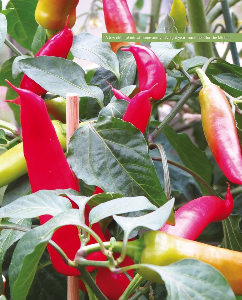 Growing Self-Sufficiency: Realize Your Dream and Enjoy Producing Your Own Fruit, Vegetables, Eggs and Meat