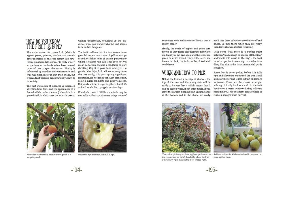 An Orchard Odyssey: Finding and Growing Tree Fruit in the City, Community and Garden
