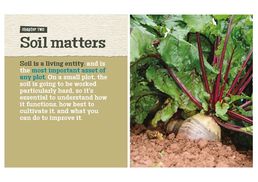Living on One Acre or Less: How to produce all the fruit, veg, meat, fish and eggs your family needs