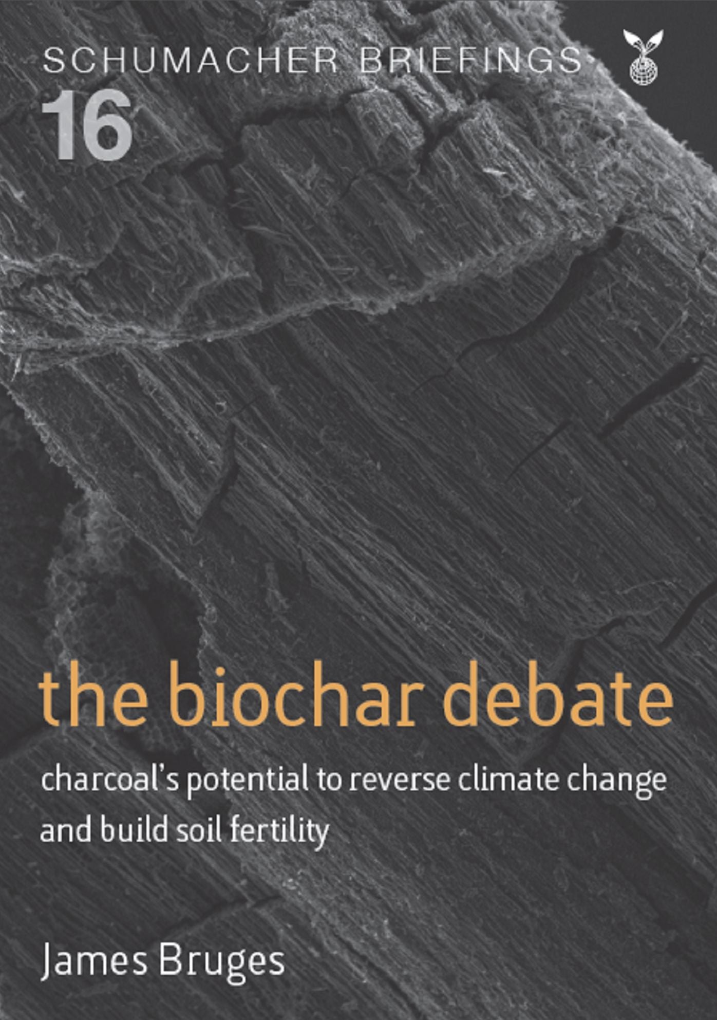The Biochar Debate: Charcoal's potential to reverse climate change and build soil fertility