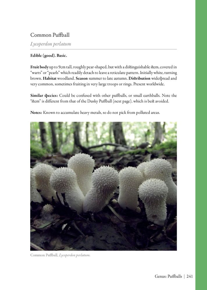 Edible Mushrooms: A Forager's Guide to the Wild Fungi of Britain and Europe