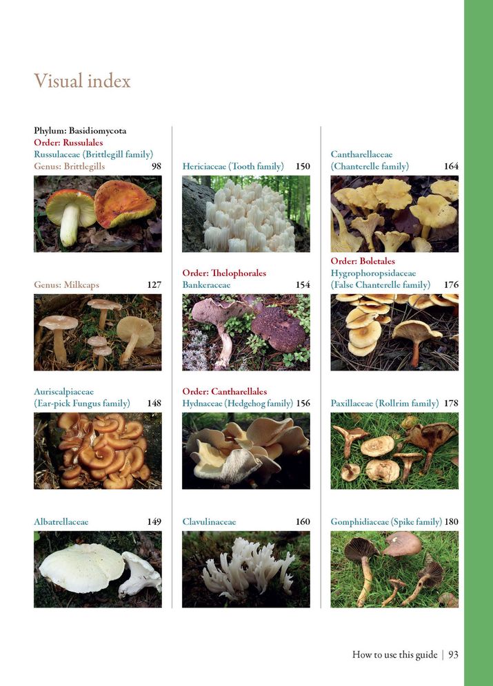 Edible Mushrooms: A Forager's Guide to the Wild Fungi of Britain and Europe