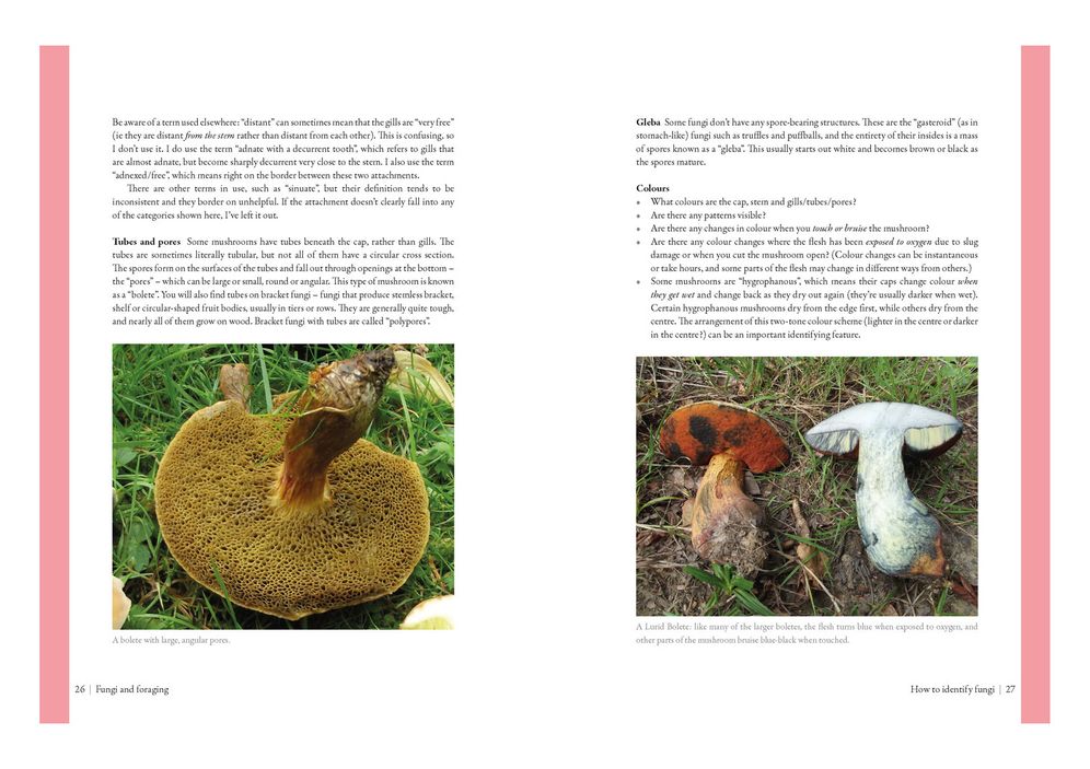 Edible Mushrooms: A Forager's Guide to the Wild Fungi of Britain and Europe