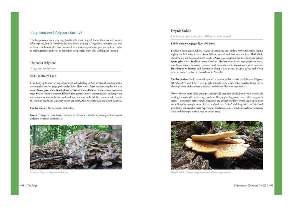 Edible Mushrooms: A Forager's Guide to the Wild Fungi of Britain and Europe