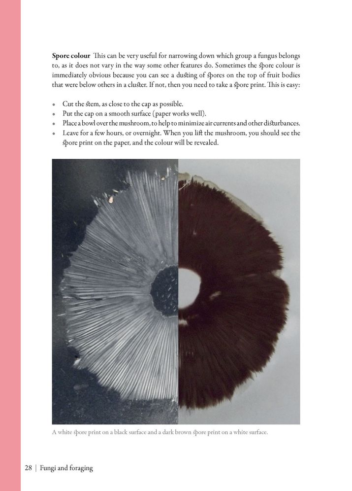 Edible Mushrooms: A Forager's Guide to the Wild Fungi of Britain and Europe