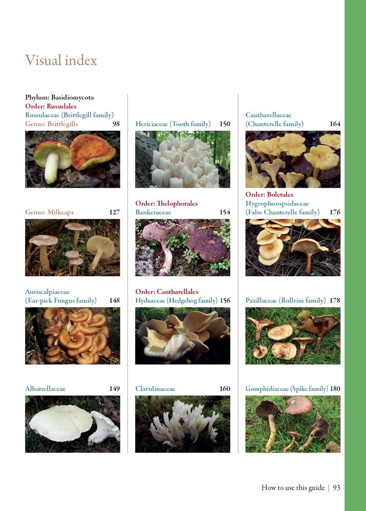 Edible Mushrooms: A Forager's Guide to the Wild Fungi of Britain and Europe