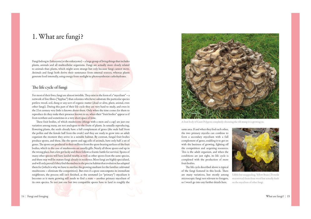 Edible Mushrooms: A Forager's Guide to the Wild Fungi of Britain and Europe