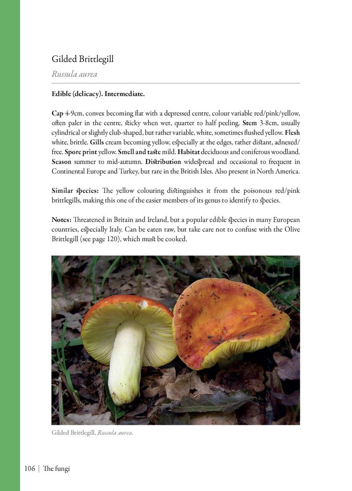 Edible Mushrooms: A Forager's Guide to the Wild Fungi of Britain and Europe