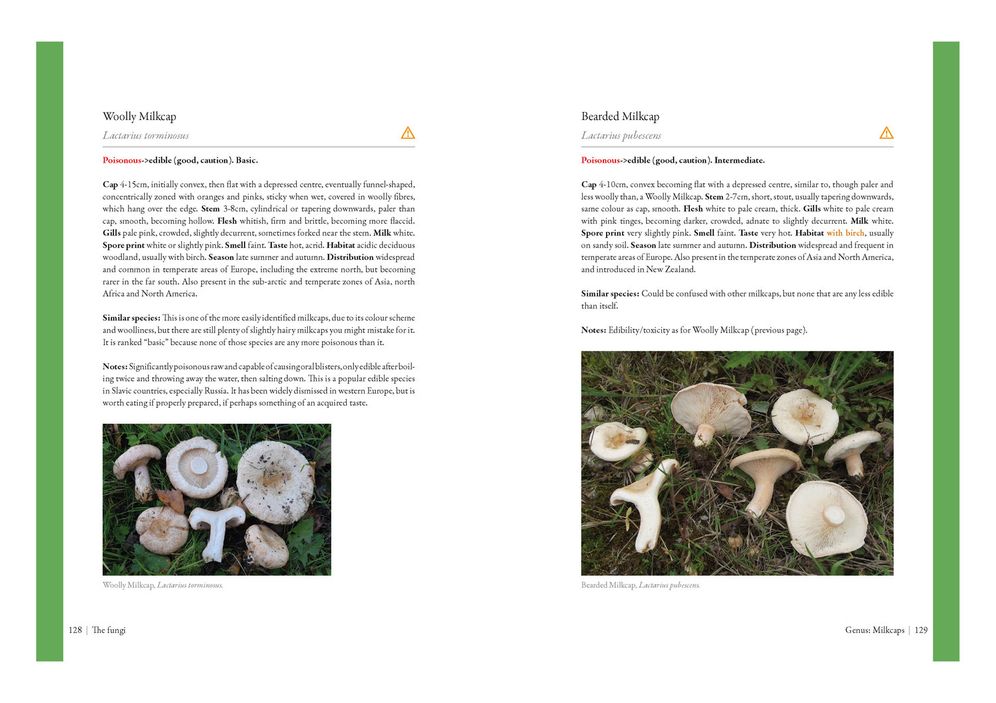 Edible Mushrooms: A Forager's Guide to the Wild Fungi of Britain and Europe