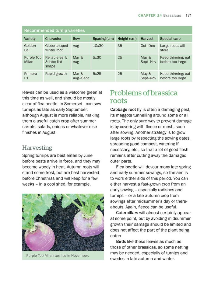 Organic Gardening: The Natural No-Dig Way
